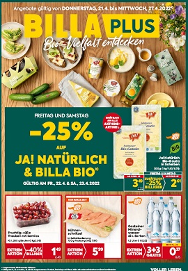 Billa Plus Prospekt