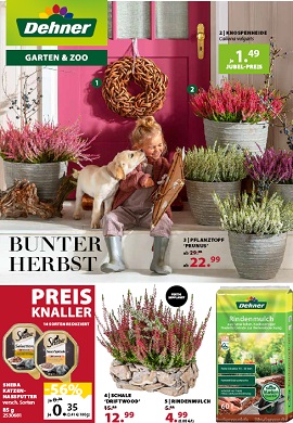 Dehner Prospekt