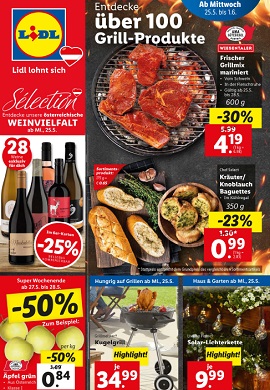 Lidl Prospekt