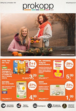 Prokopp Prospekt November