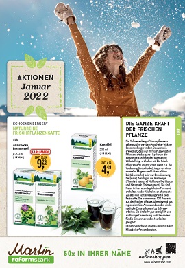 Reformstark Martin Prospekt Januar